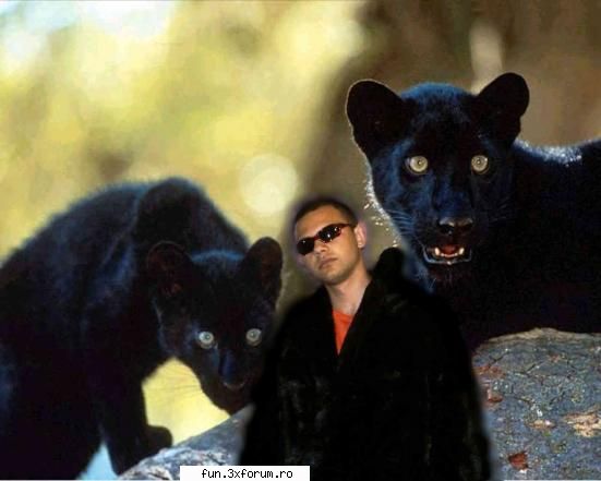Parerile voastre :D - Va rog sa nu spunetzi totul pe fatza :P - Baieti